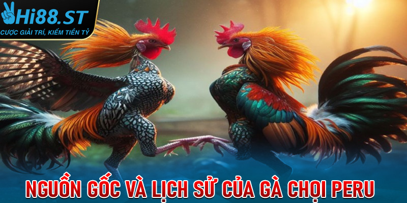 Nguồn gốc và lịch sử của gà chọi peru