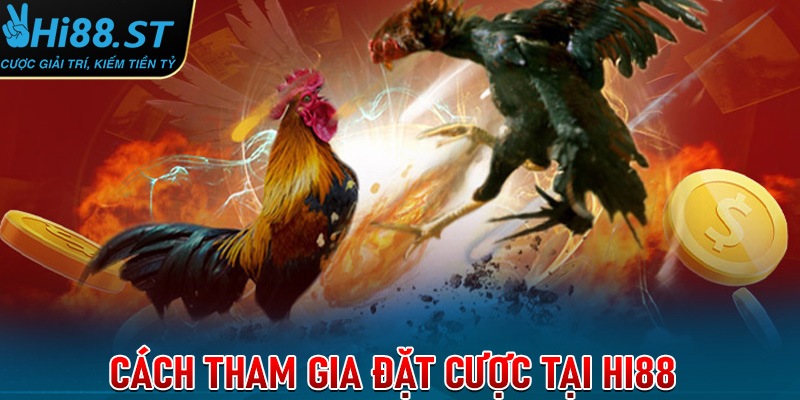 Cách chơi cá cược trực tuyến Hi88