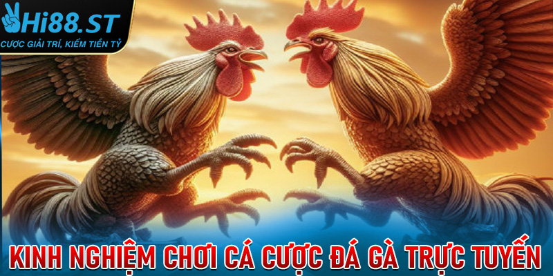 Kinh nghiệm chơi cá cược đá gà trực tuyến
