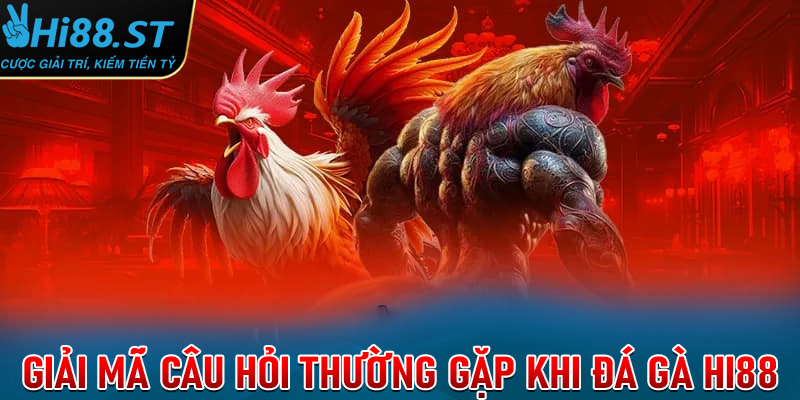 FAQs - giải mã những câu hỏi thường gặp có liên quan đến đá gà Hi88