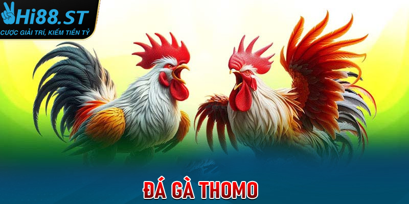 đá gà thomo